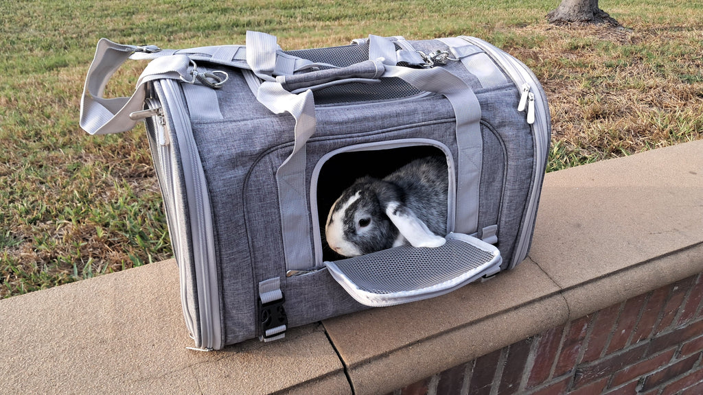 Airline-Approved Pet Backpack Carrier – Monterey Series