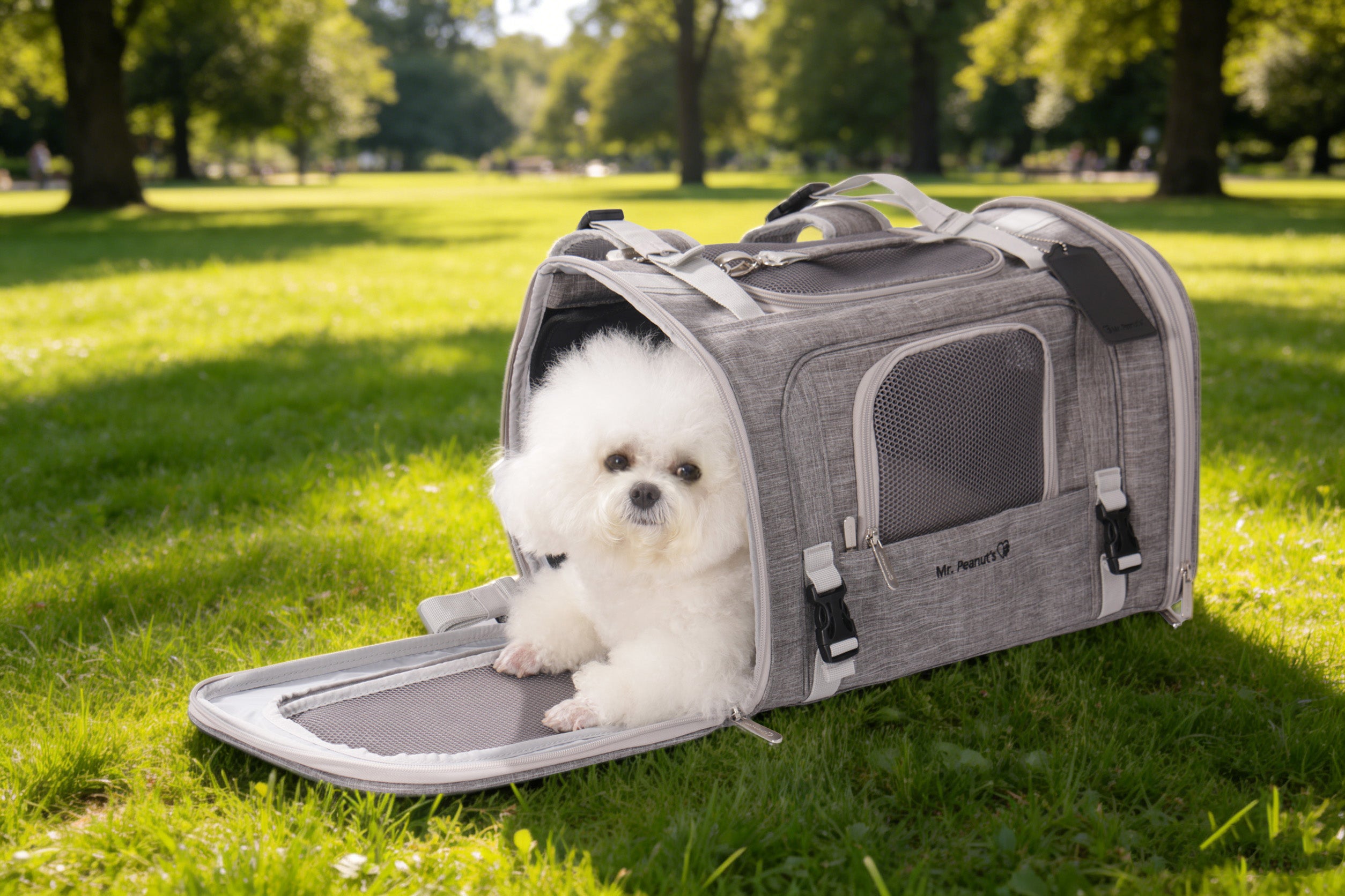 Airline-Approved Pet Backpack Carrier – Monterey Series