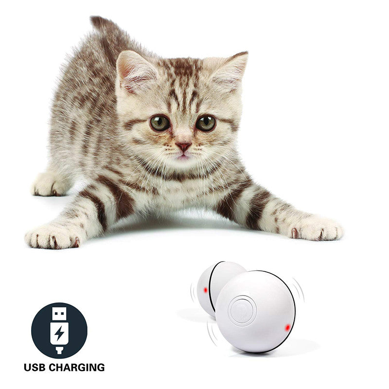 LED Laser Rolling Cat Toy Ball – Electronic Interactive