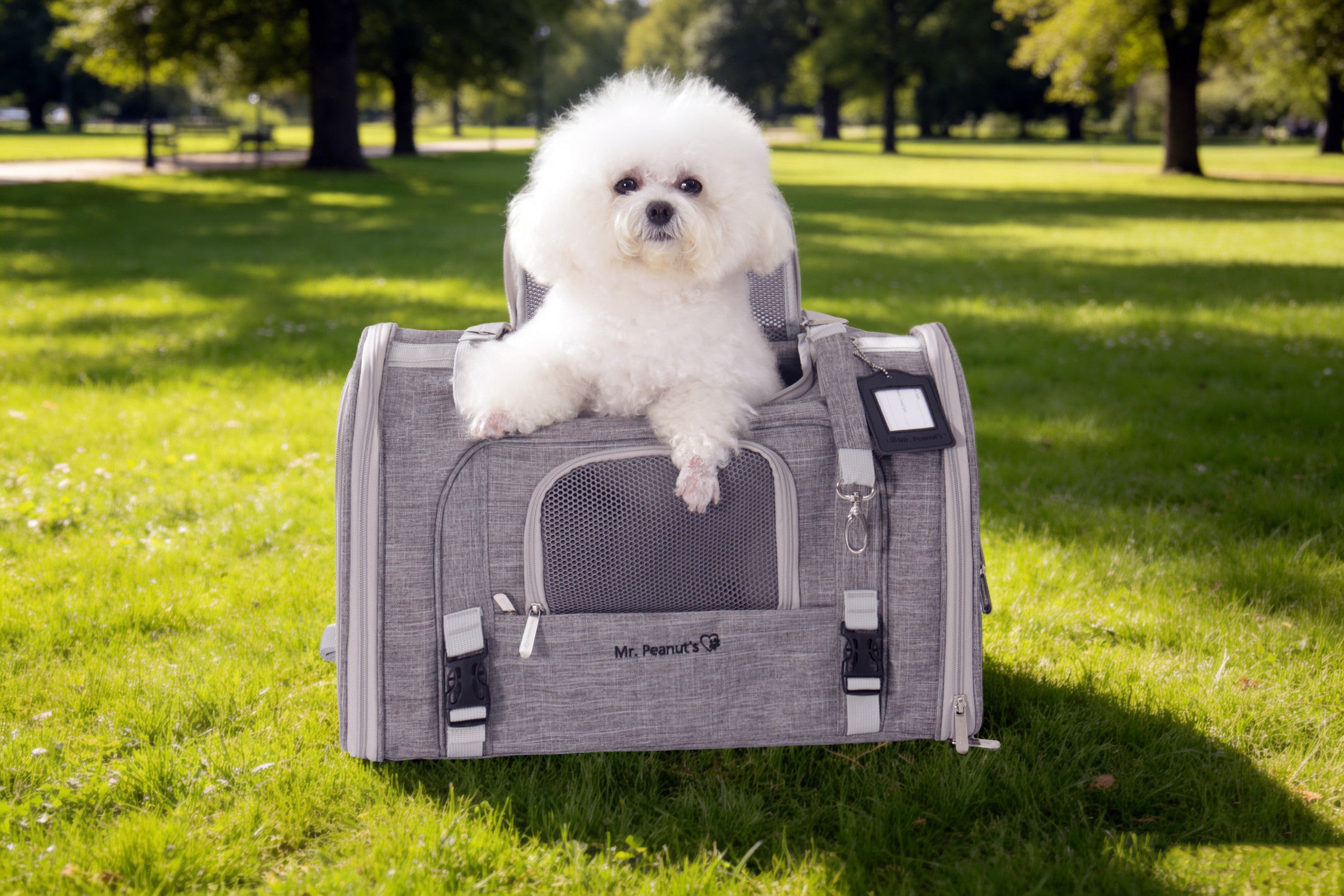 Airline-Approved Pet Backpack Carrier – Monterey Series