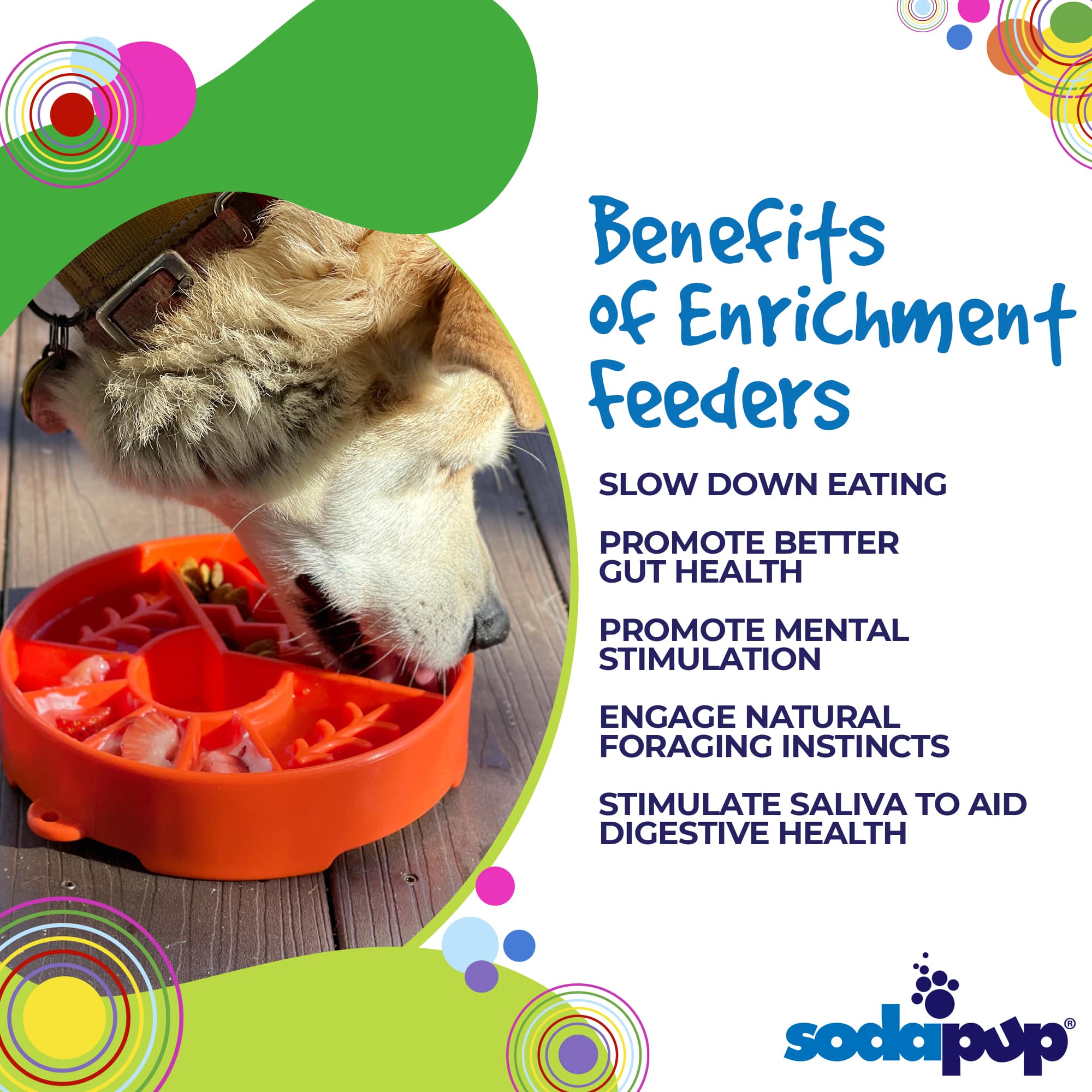 Slow Feeder Dog Bowl & Enrichment eBowl – USA Made