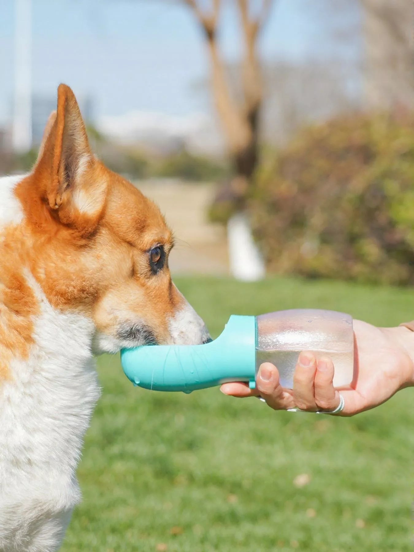 Portable Pet Water Bottle – Leak-Proof with Drinking Bowl