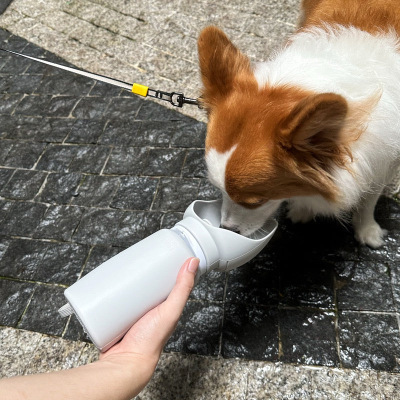 Collapsible Pet Water Bottle