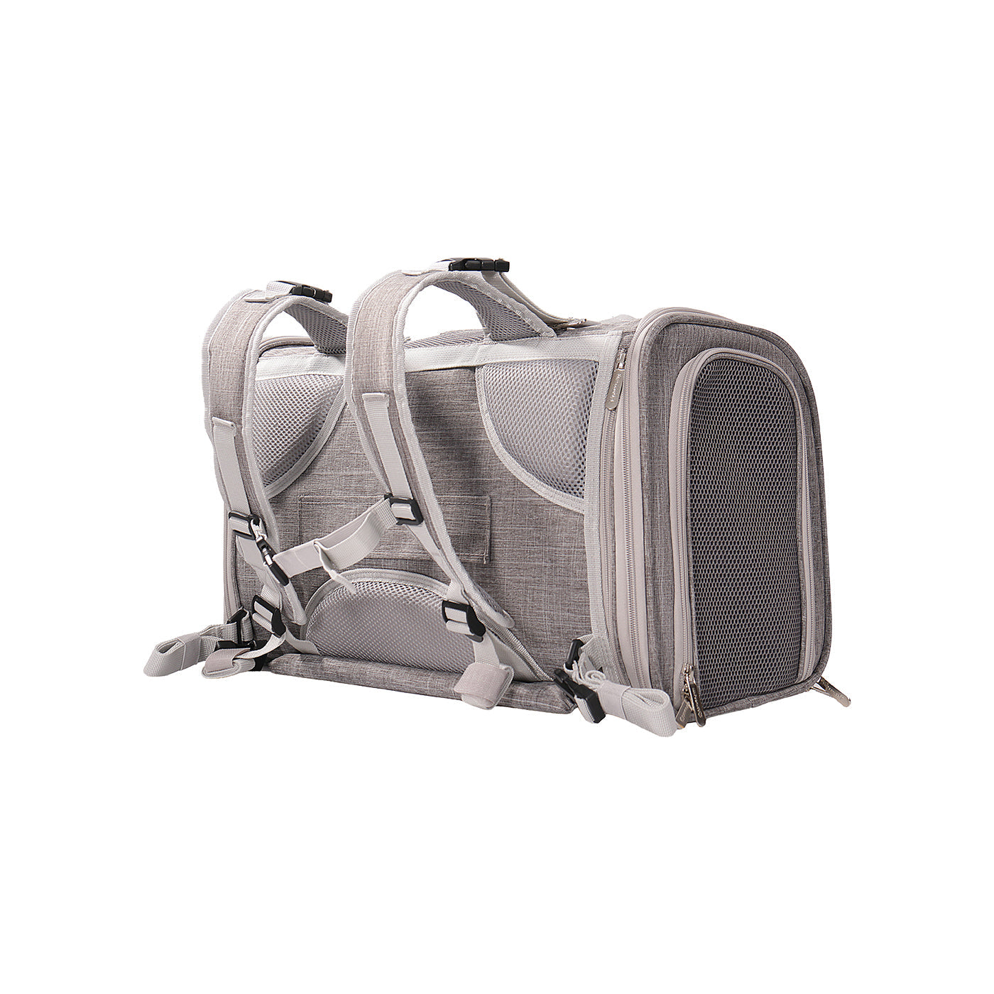 Airline-Approved Pet Backpack Carrier – Monterey Series