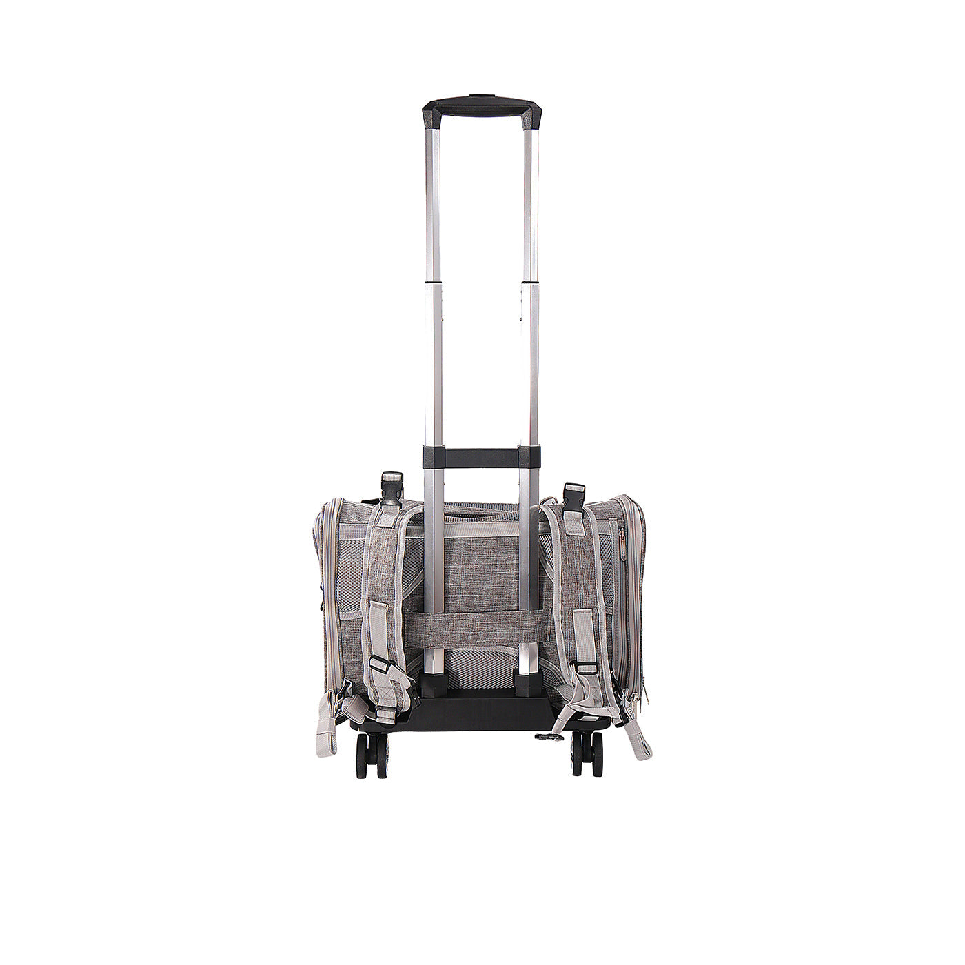 Airline-Approved Pet Backpack Carrier – Monterey Series