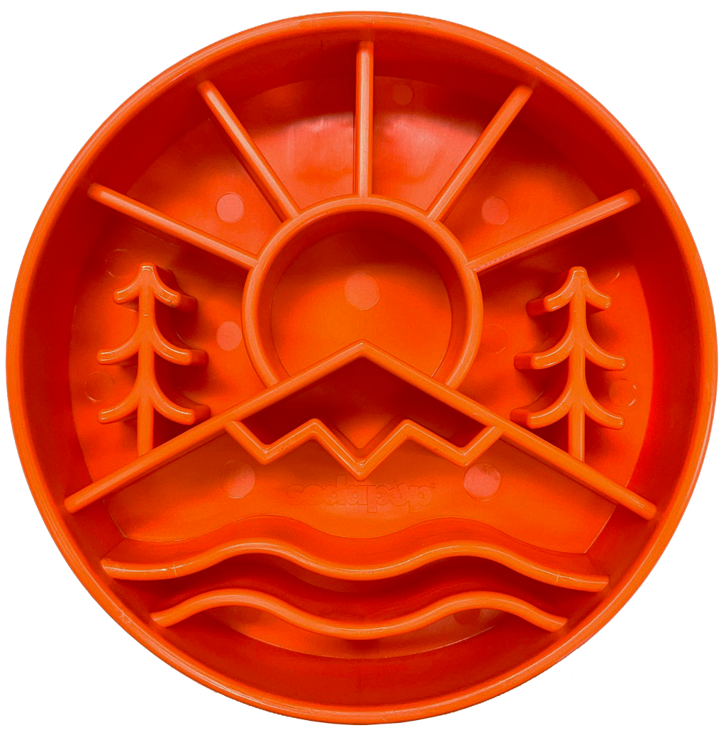 Slow Feeder Dog Bowl & Enrichment eBowl – USA Made
