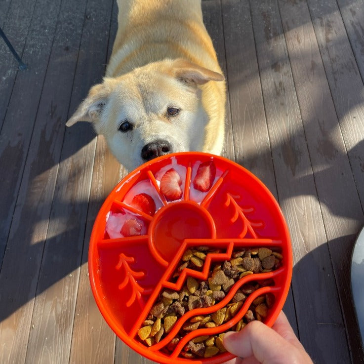 Slow Feeder Dog Bowl & Enrichment eBowl – USA Made