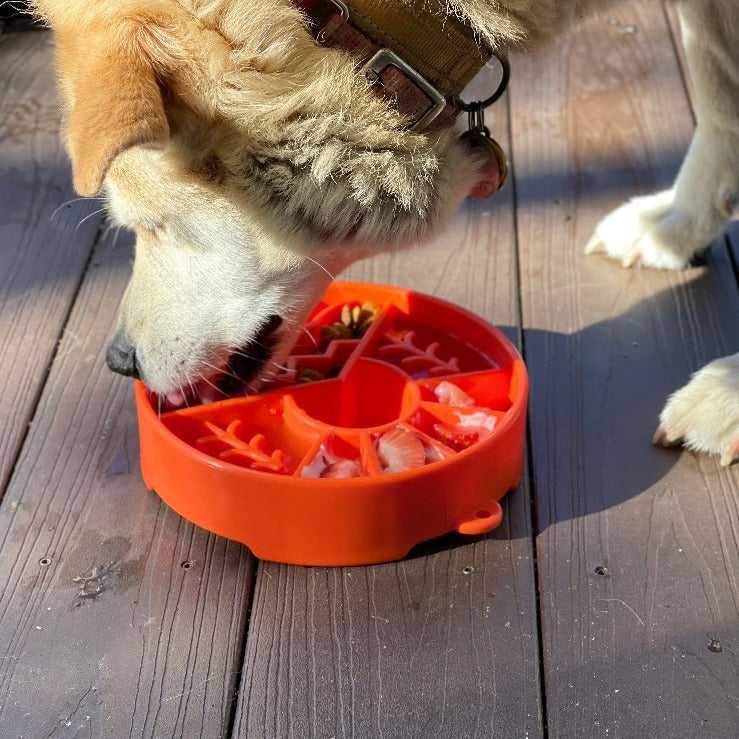 Slow Feeder Dog Bowl & Enrichment eBowl – USA Made