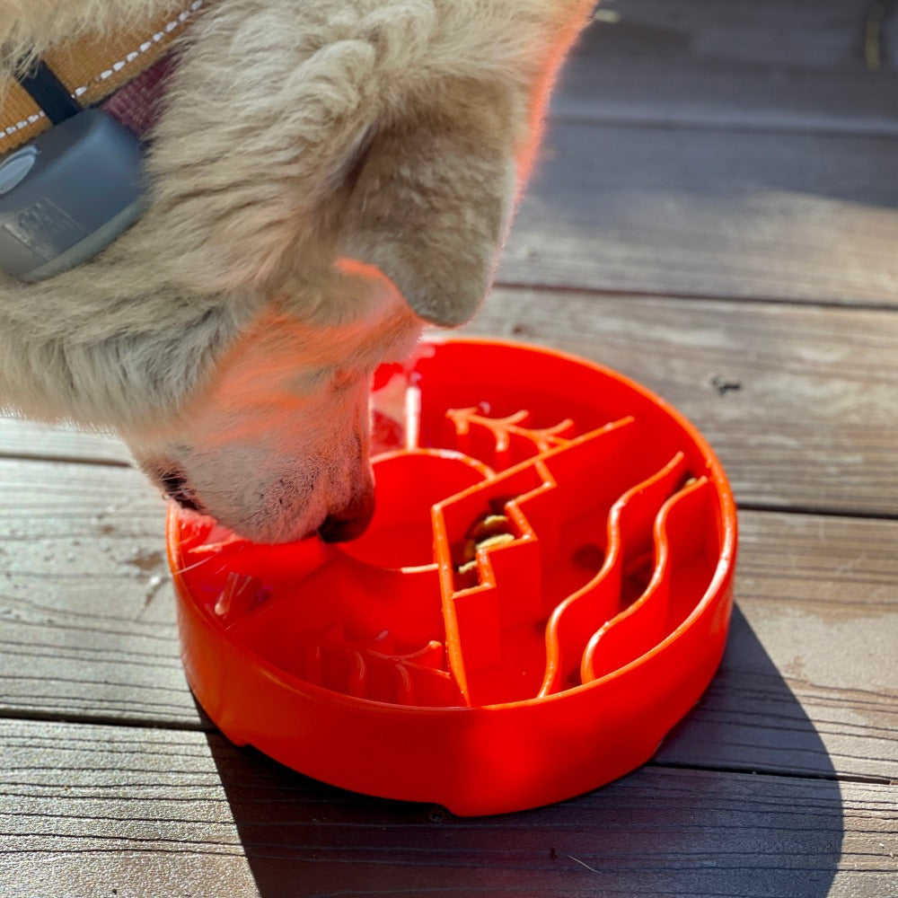 Slow Feeder Dog Bowl & Enrichment eBowl – USA Made