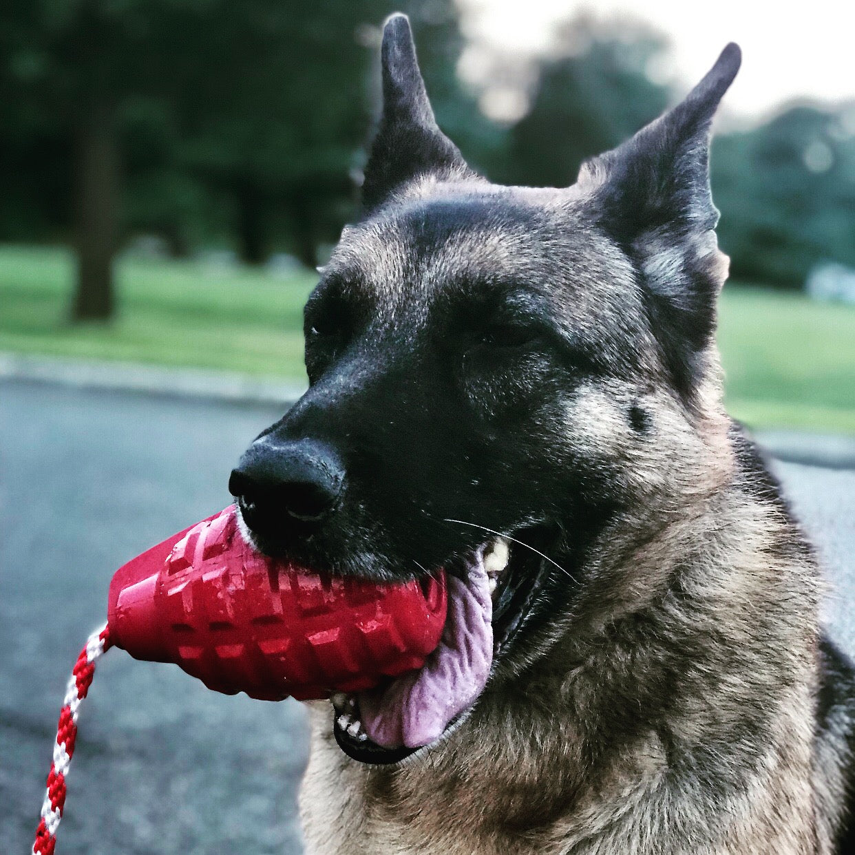 USA-K9 Grenade Dog Toy – Chew, Treat Dispenser & Tug