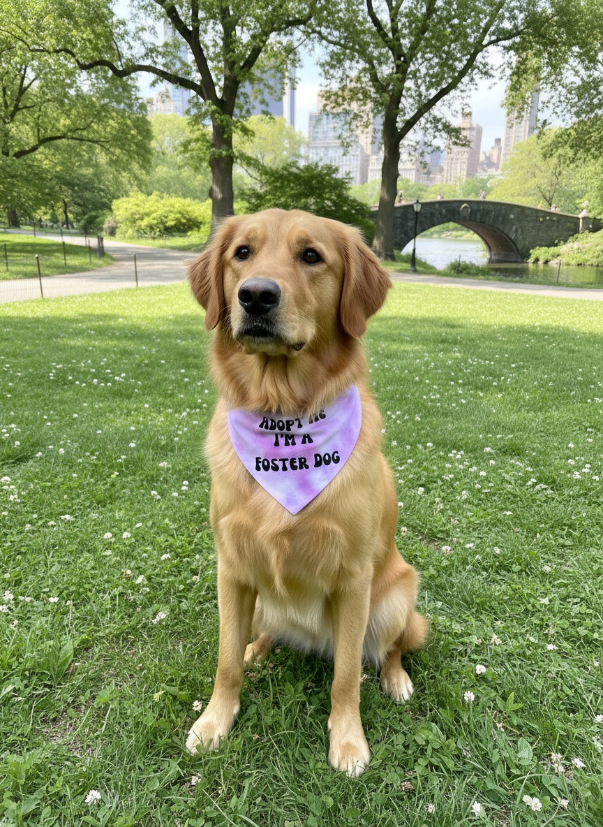Adopt Me I'm A Foster Tie Dye Dog Bandana New Arrival