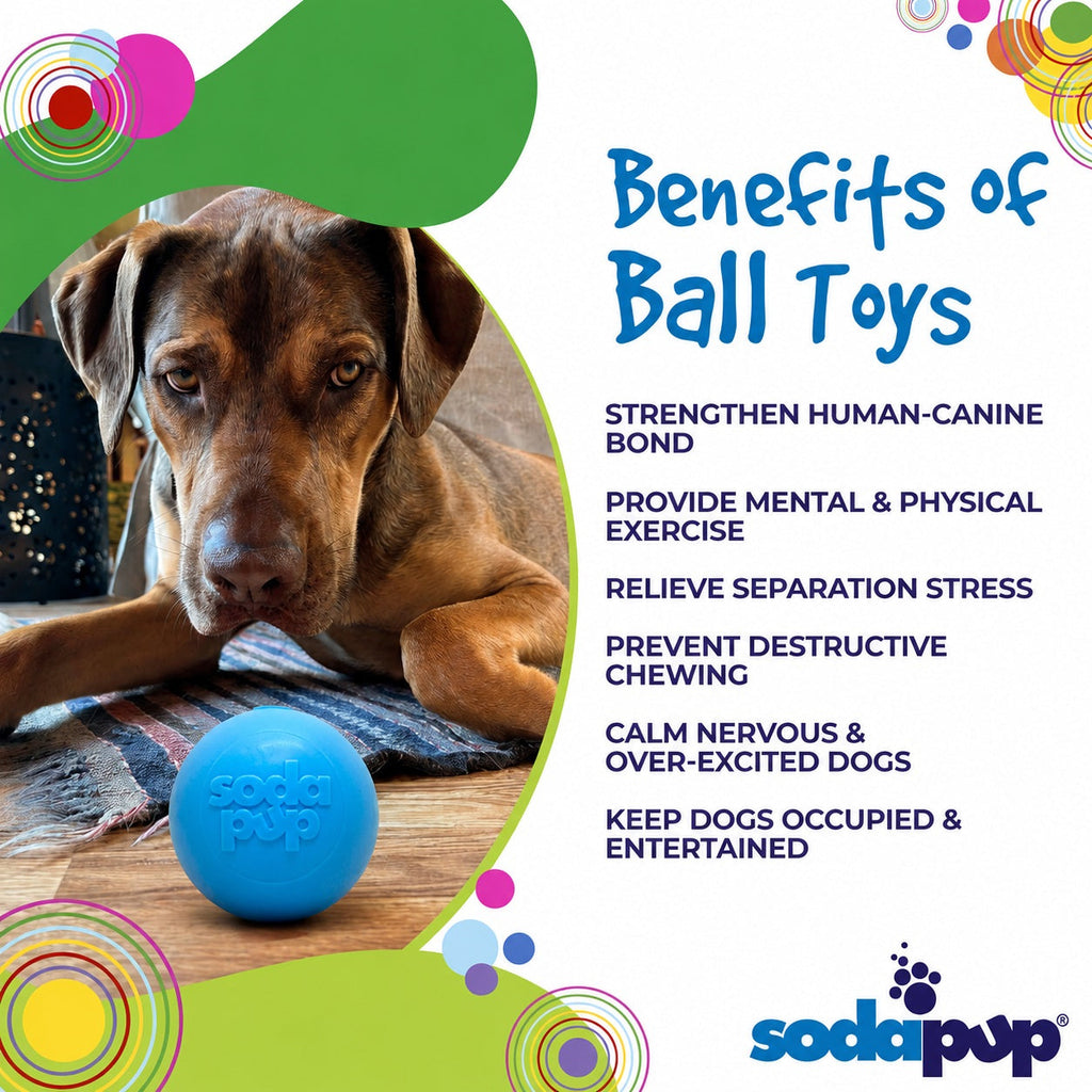Squeaky Dog Ball – Durable, Floats, USA Made Chew Toy