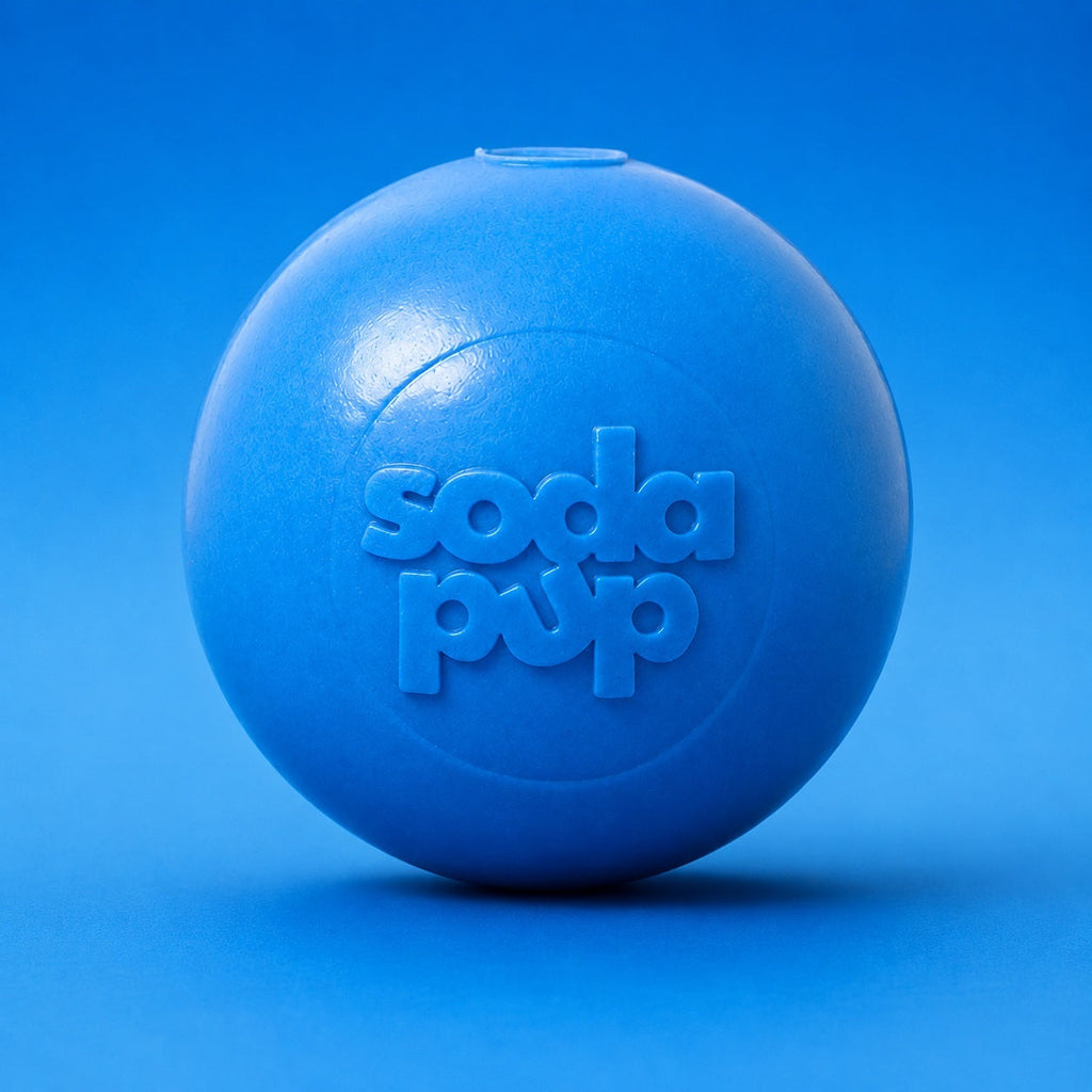 Squeaky Dog Ball – Durable, Floats, USA Made Chew Toy