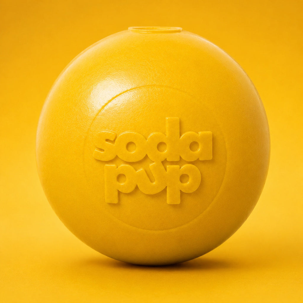 Squeaky Dog Ball – Durable, Floats, USA Made Chew Toy