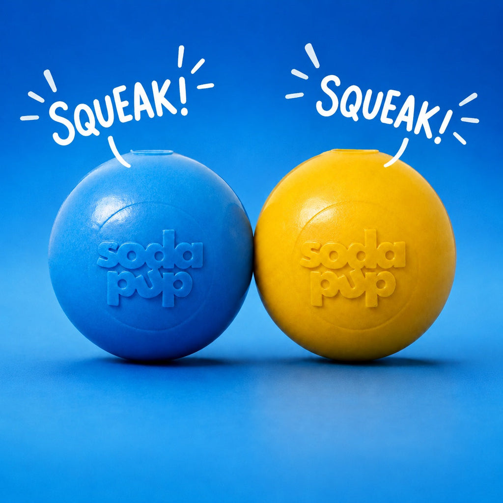 Squeaky Dog Ball – Durable, Floats, USA Made Chew Toy