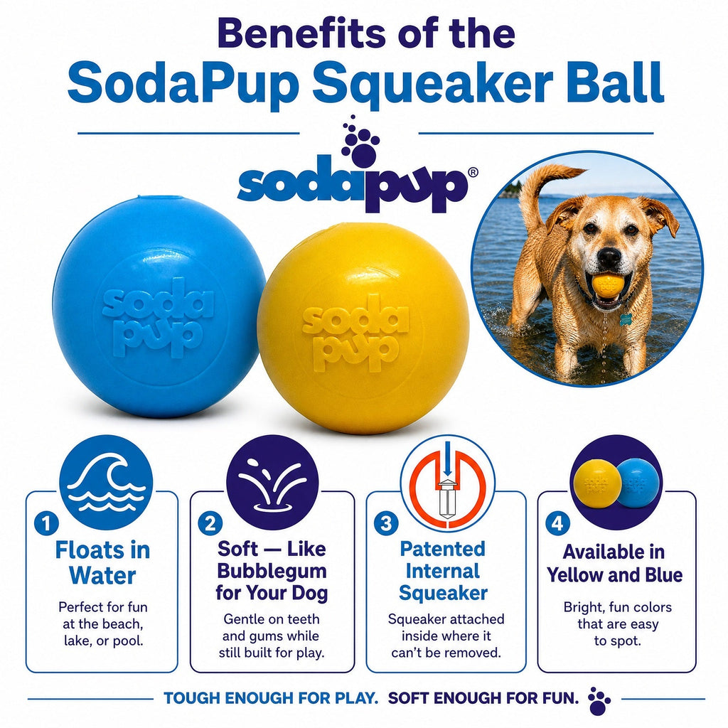 Squeaky Dog Ball – Durable, Floats, USA Made Chew Toy