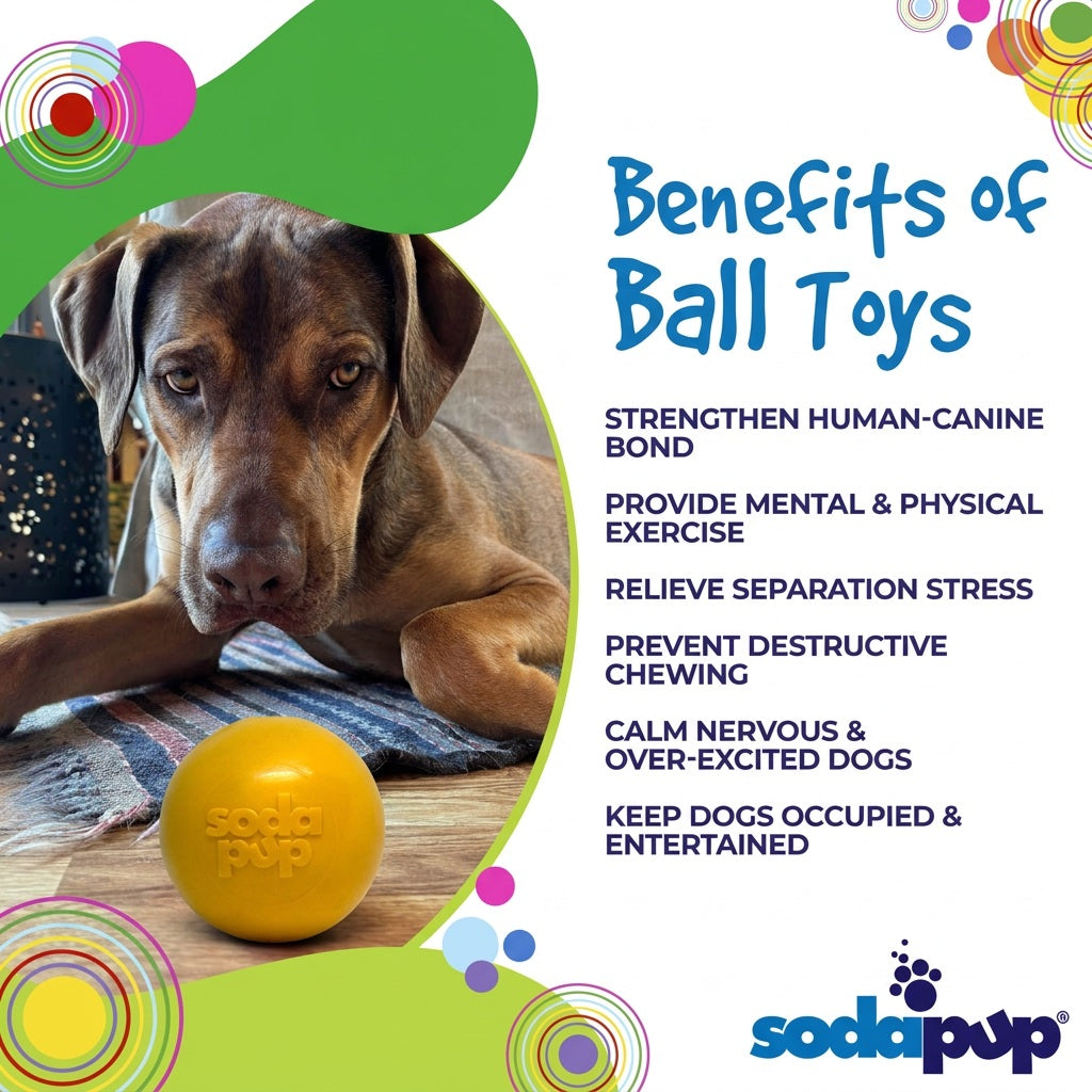 Squeaky Dog Ball – Durable, Floats, USA Made Chew Toy