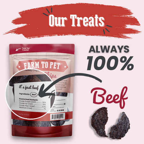 Beef Chips Dog Treats | Single-Ingredient Healthy Treats for Dogs - Trendify Pets