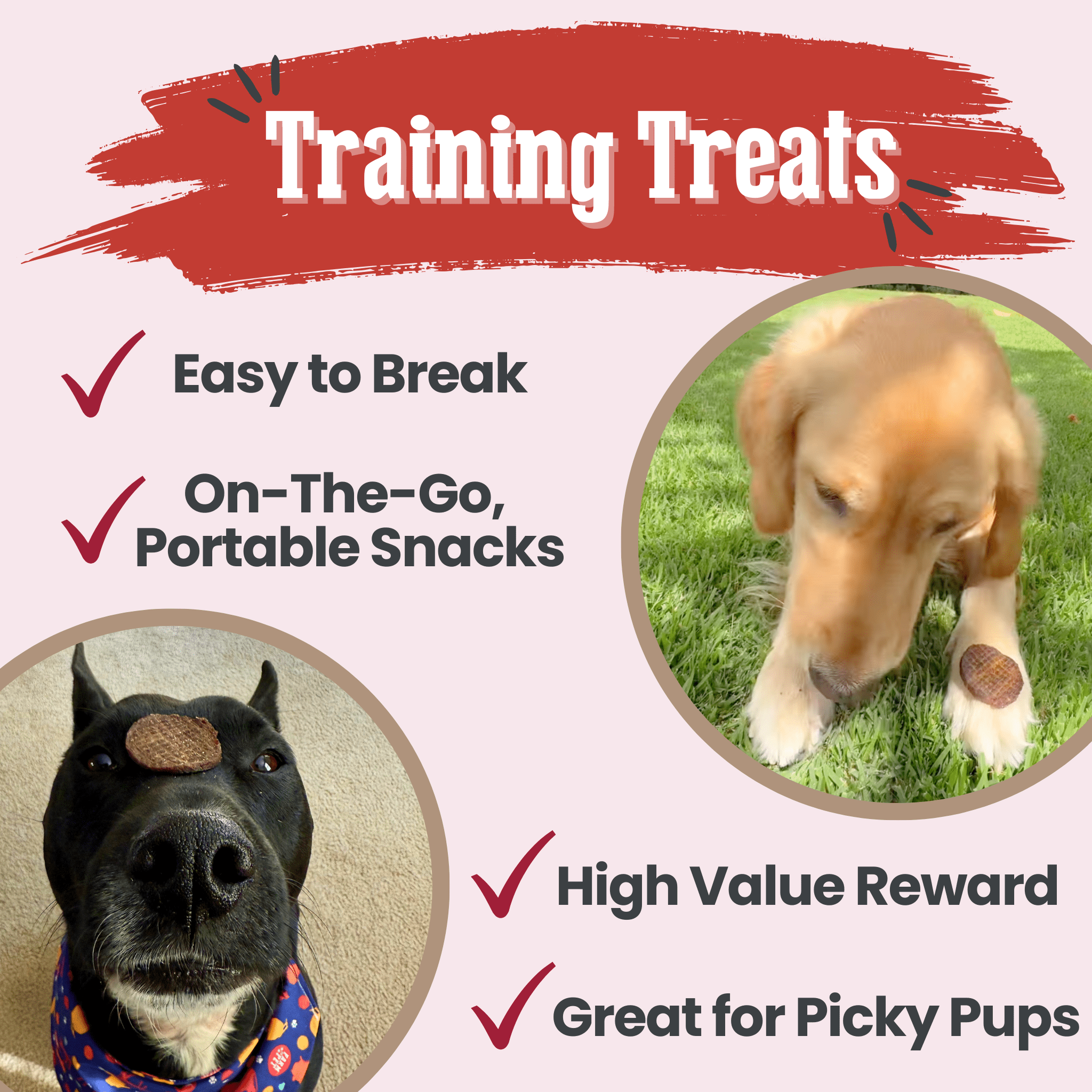 Beef Chips Dog Treats | Single-Ingredient Healthy Treats for Dogs - Trendify Pets