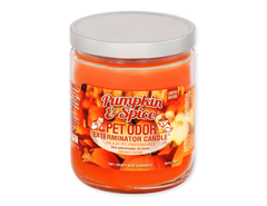 Pet Odor Eliminator Candle — Pumpkin Spice Scent, Set of 2