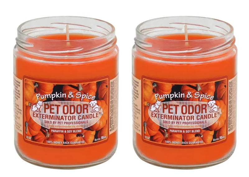 Pet Odor Eliminator Candle — Pumpkin Spice Scent, Set of 2