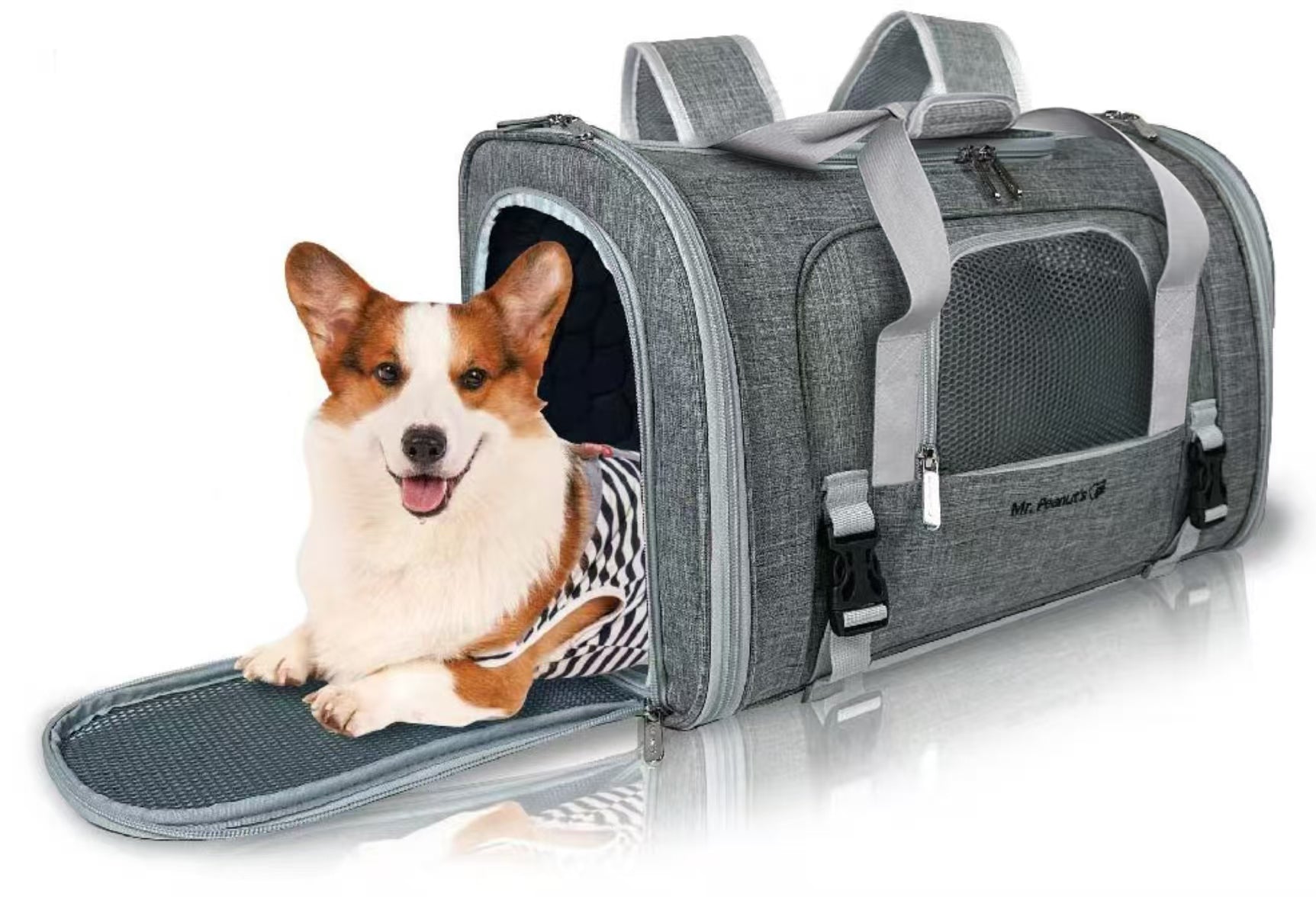 Airline-Approved Pet Backpack Carrier – Monterey Series