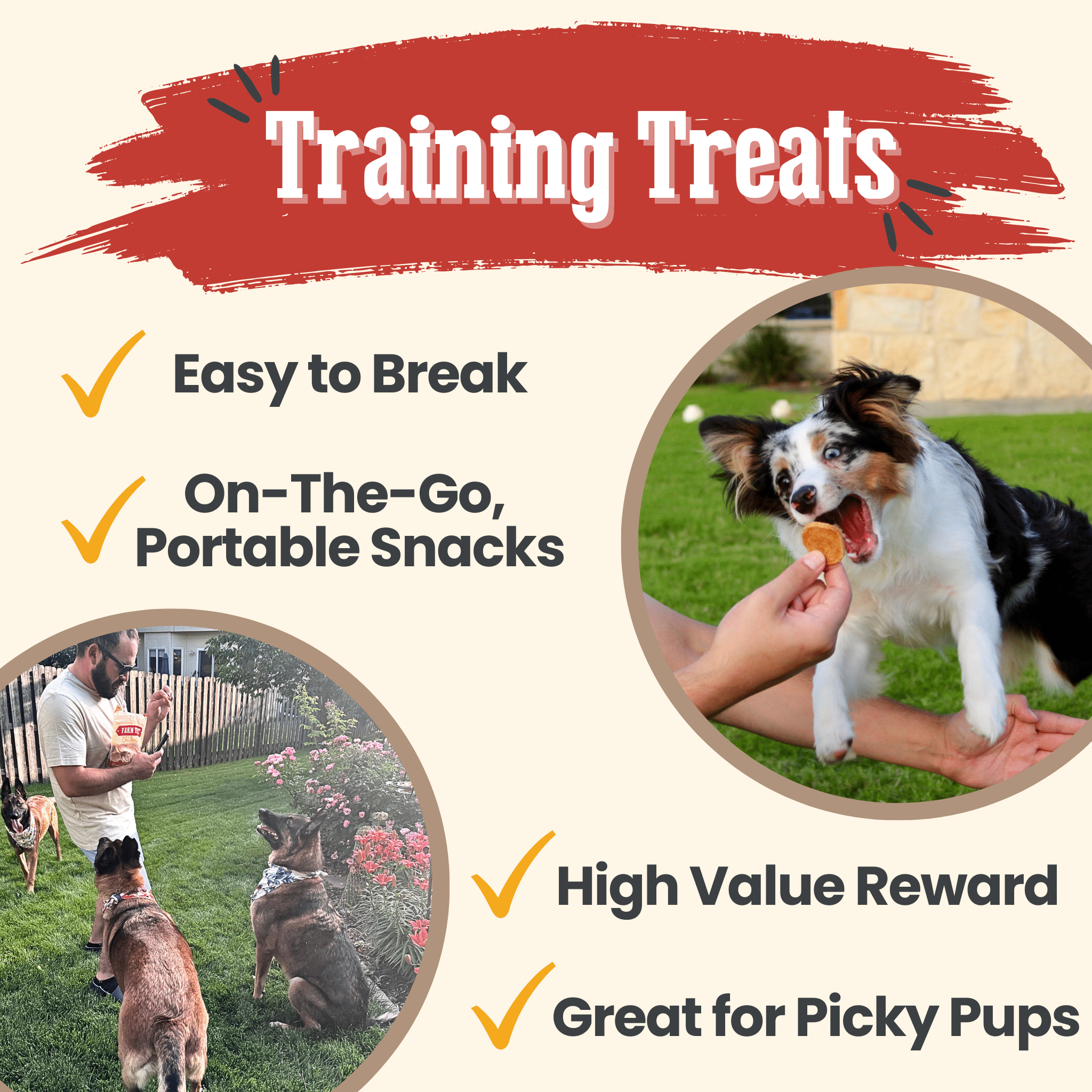 Chicken Chips for Dogs | All-Natural Single-Ingredient Dog Treats - Trendify Pets