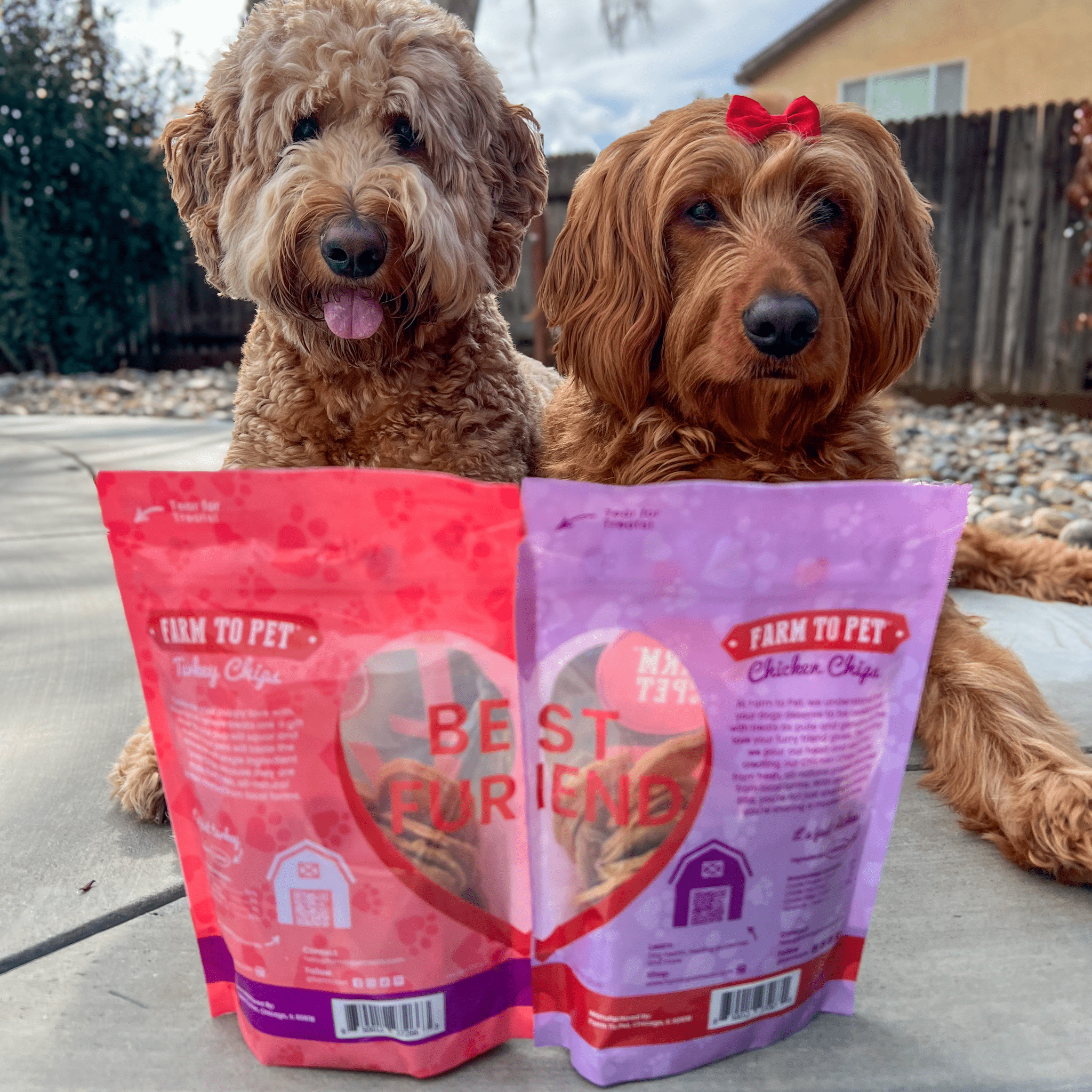 Puppy Love Dog Treat Duo | Poultry Chip Variety Pack - Trendify Pets