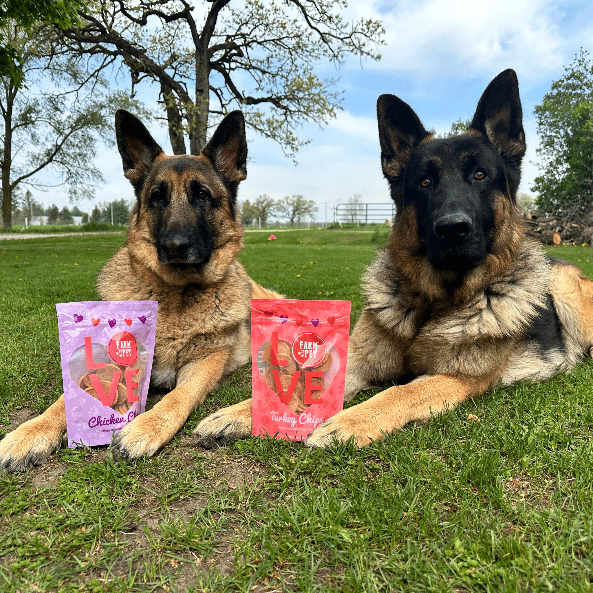 Puppy Love Dog Treat Duo | Poultry Chip Variety Pack - Trendify Pets