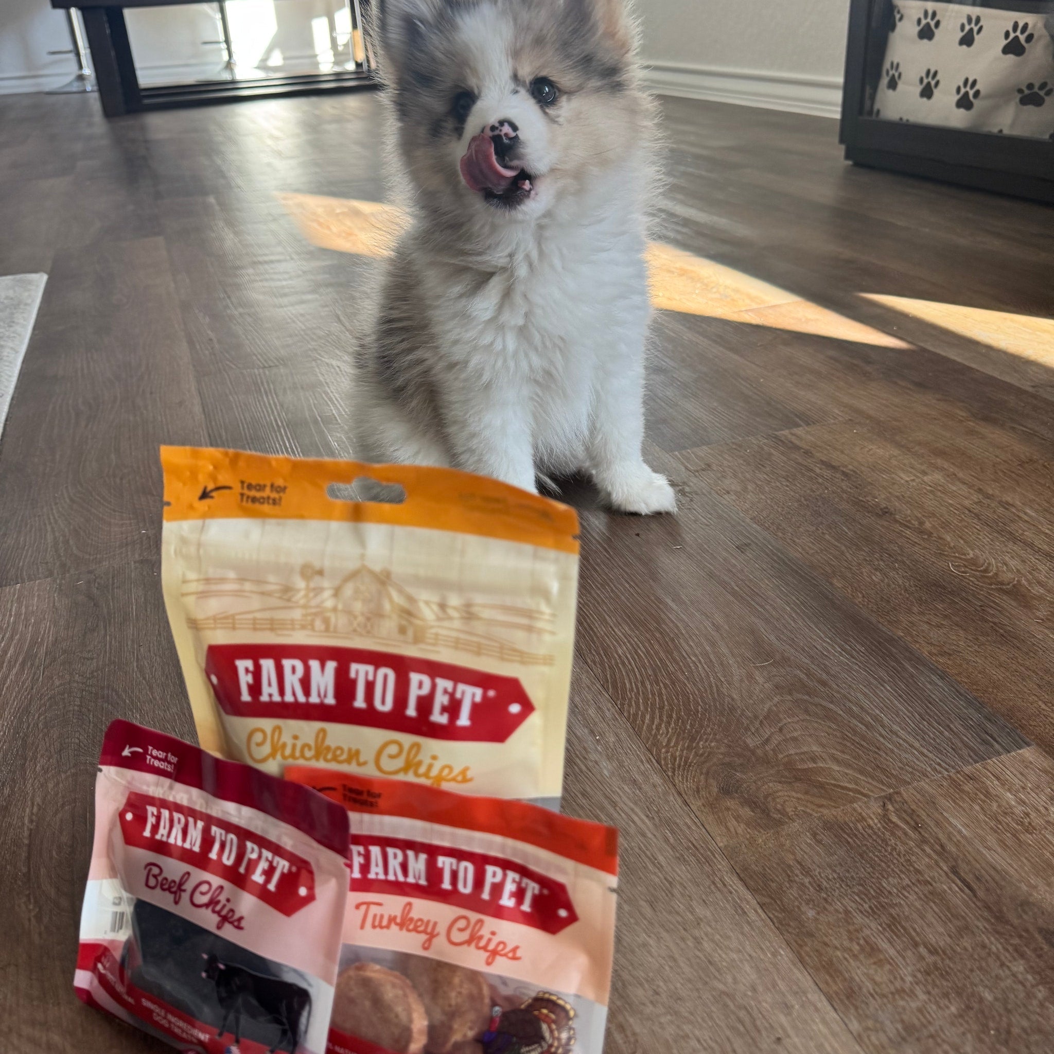 Puppy Packs 'n Snacks Dog Treat Starter Pack | Single-Ingredient Training Treats - Trendify Pets
