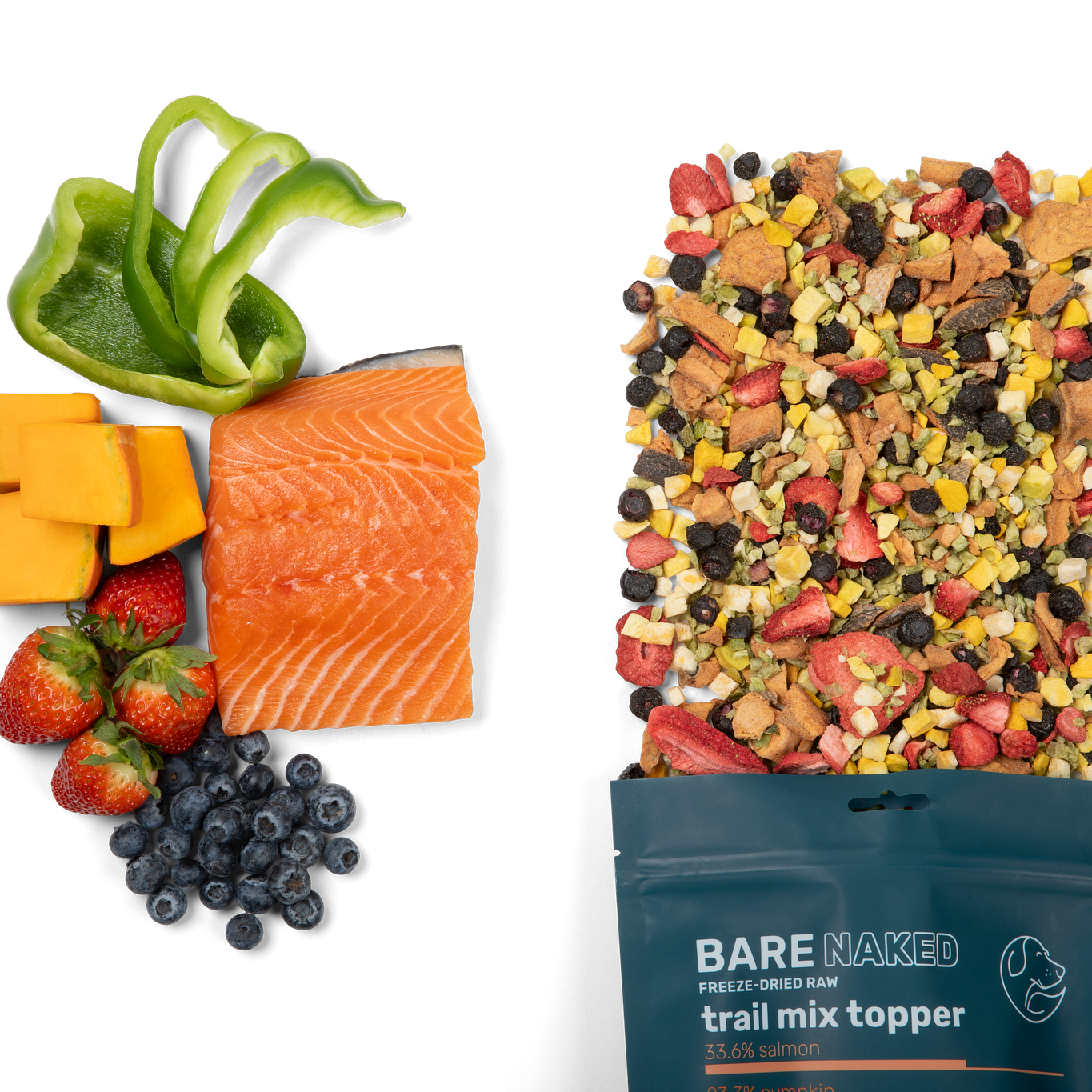 Salmon Mix - Trendify Pets