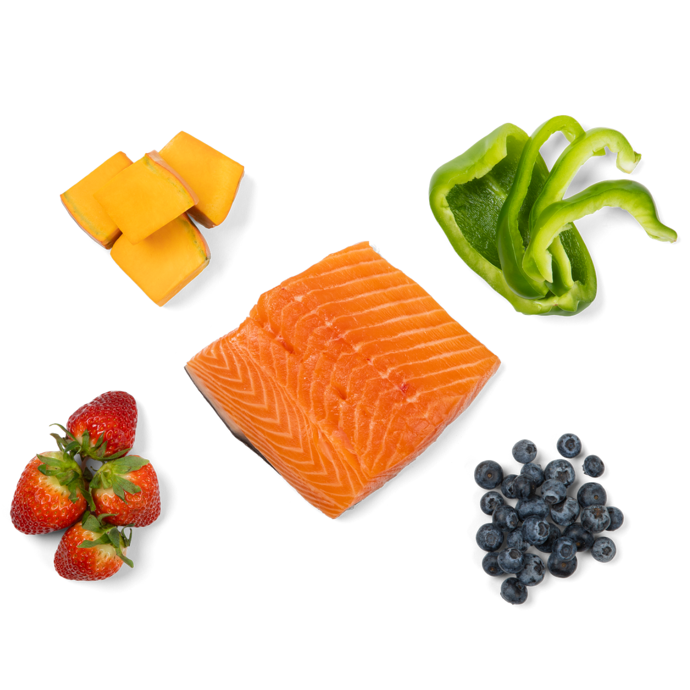Salmon Mix - Trendify Pets