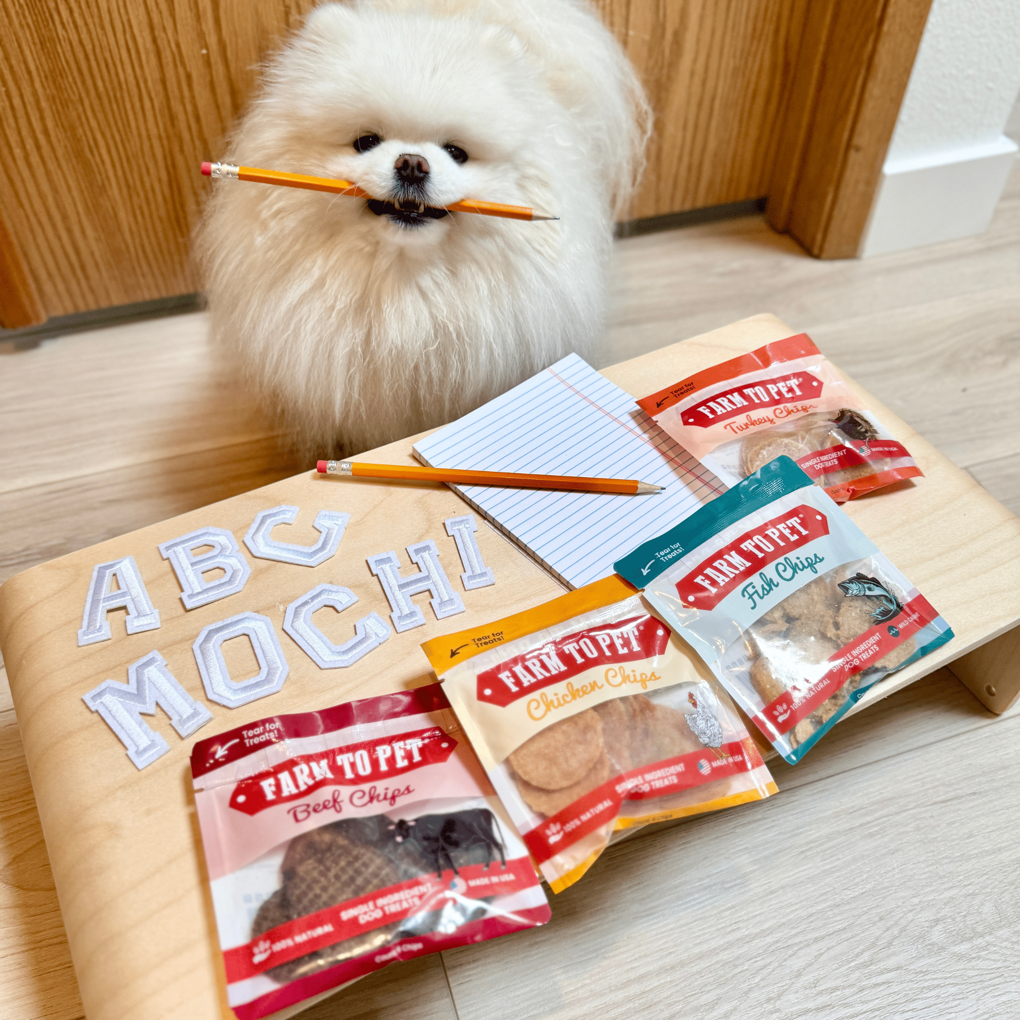 Snack Pack Dog Treat Sampler - Trendify Pets