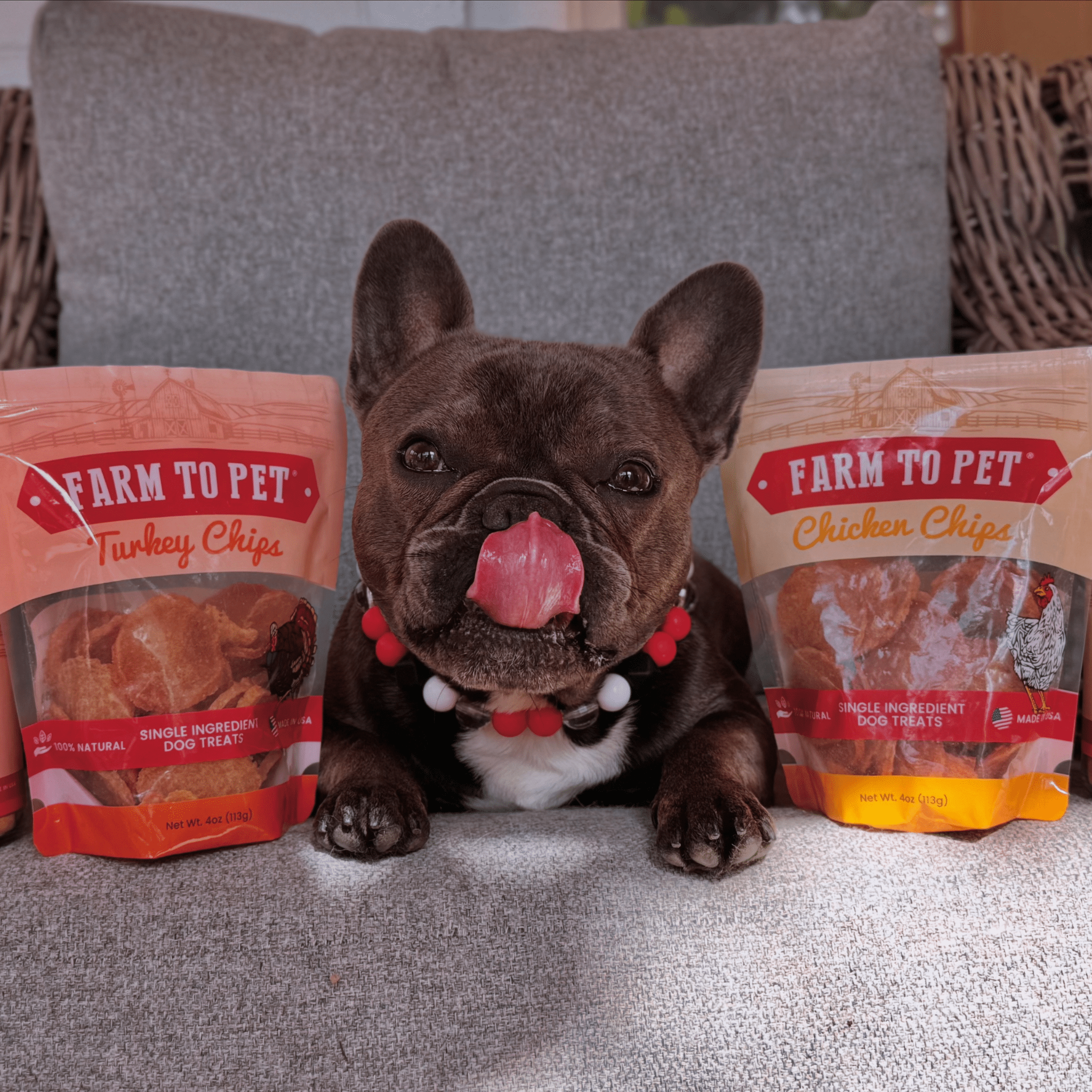 Turkey & Chicken Chip Dog Treat Duo | Single-Ingredient Poultry Treats for Dogs - Trendify Pets