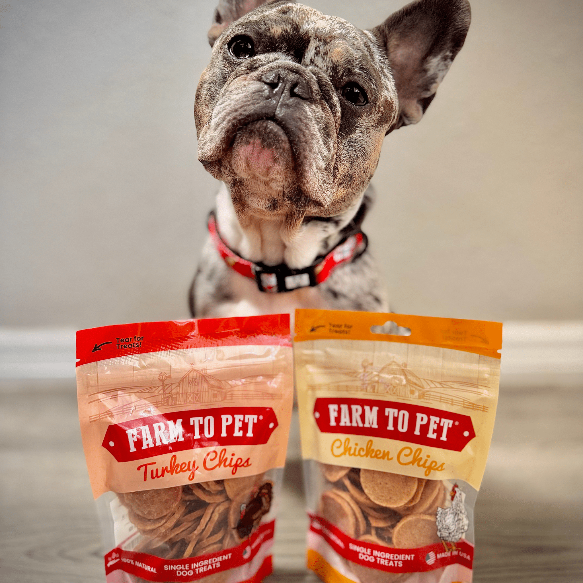 Turkey & Chicken Chip Dog Treat Duo | Single-Ingredient Poultry Treats for Dogs - Trendify Pets