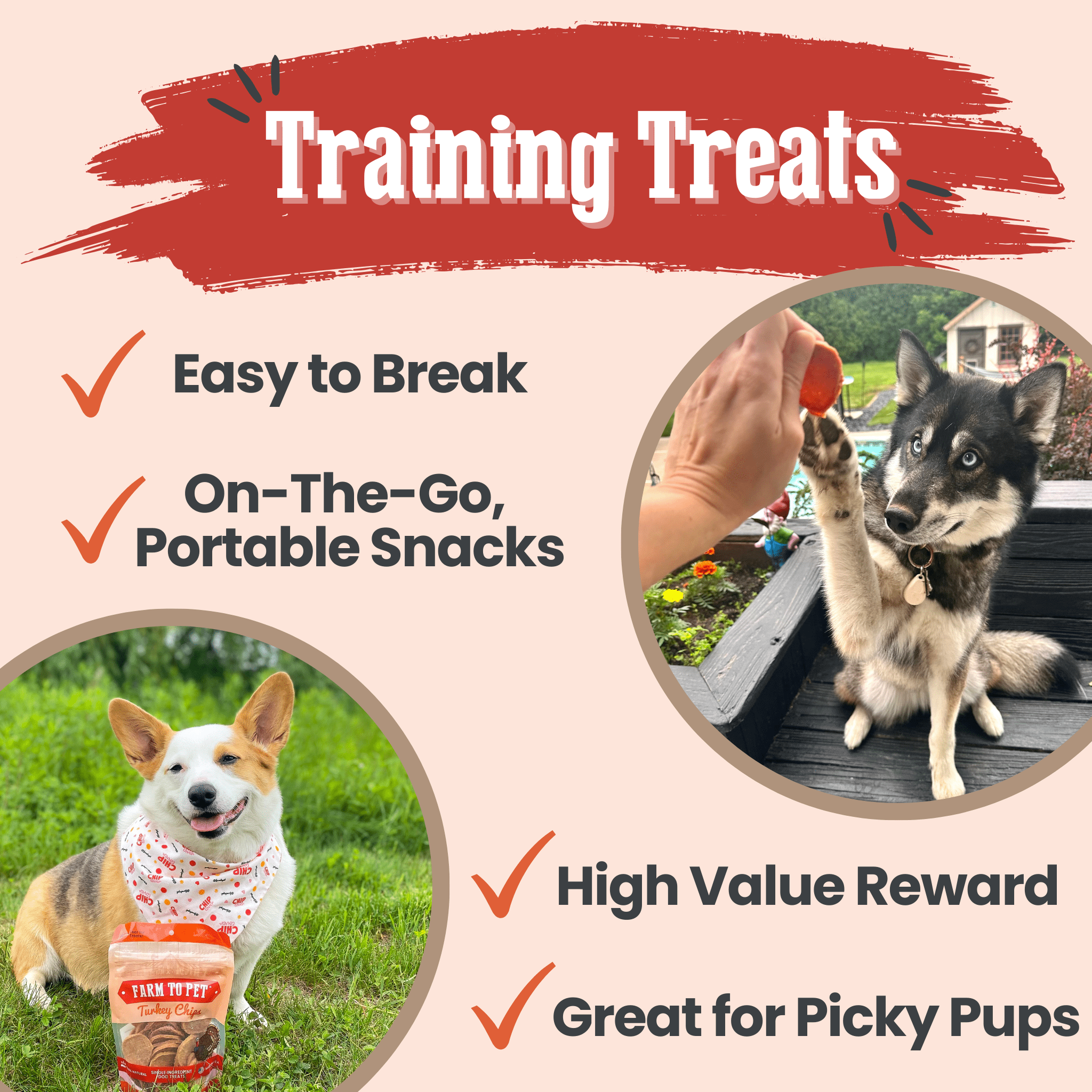 Turkey Chips for Dogs | All-Natural Single-Ingredient Healthy Dog Treats - Trendify Pets